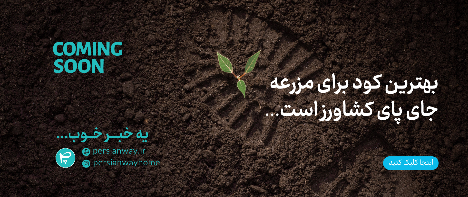slide_8